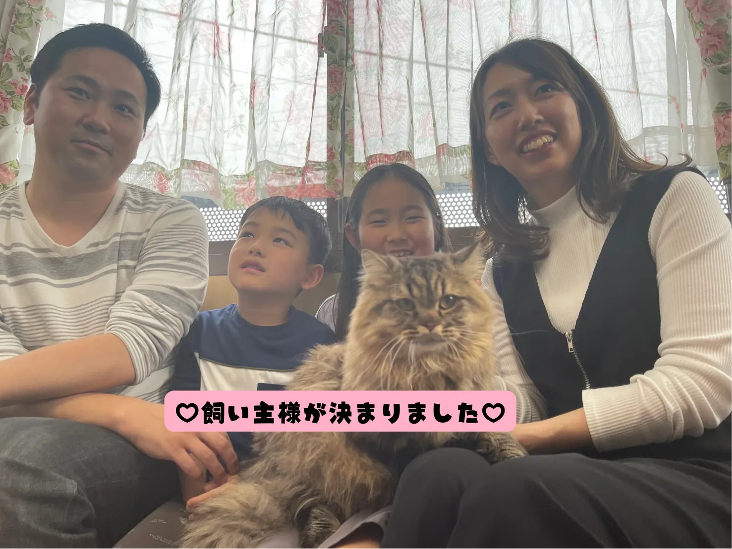 飼い主様が決まりました😸