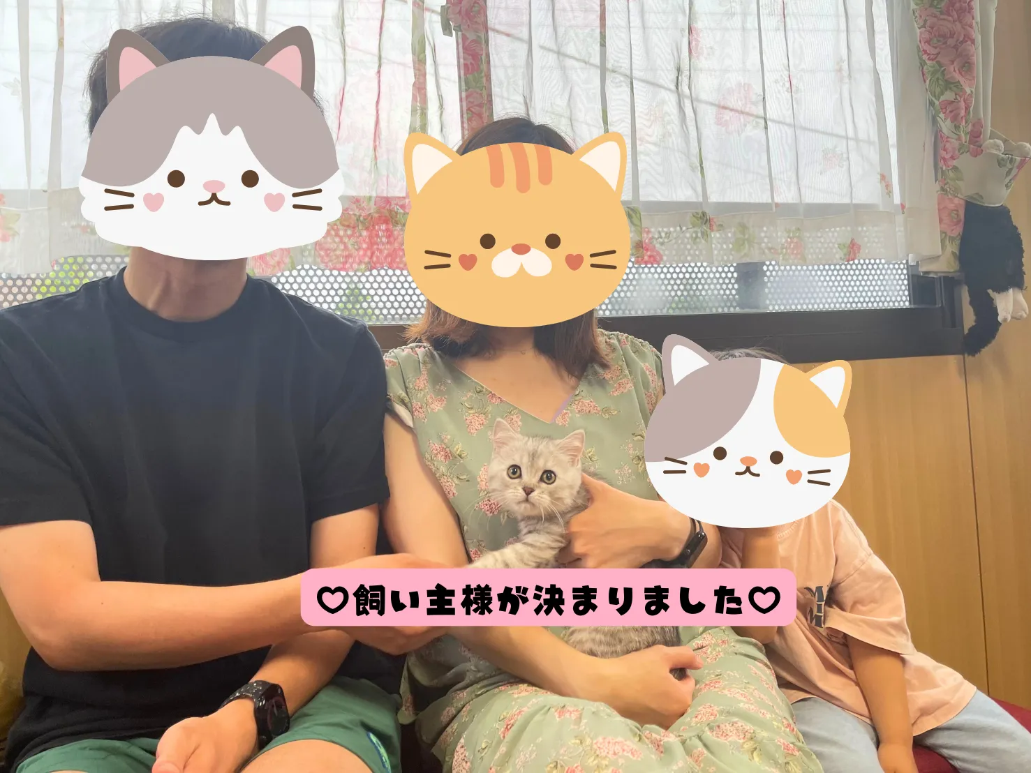 飼い主様が決まりました😸