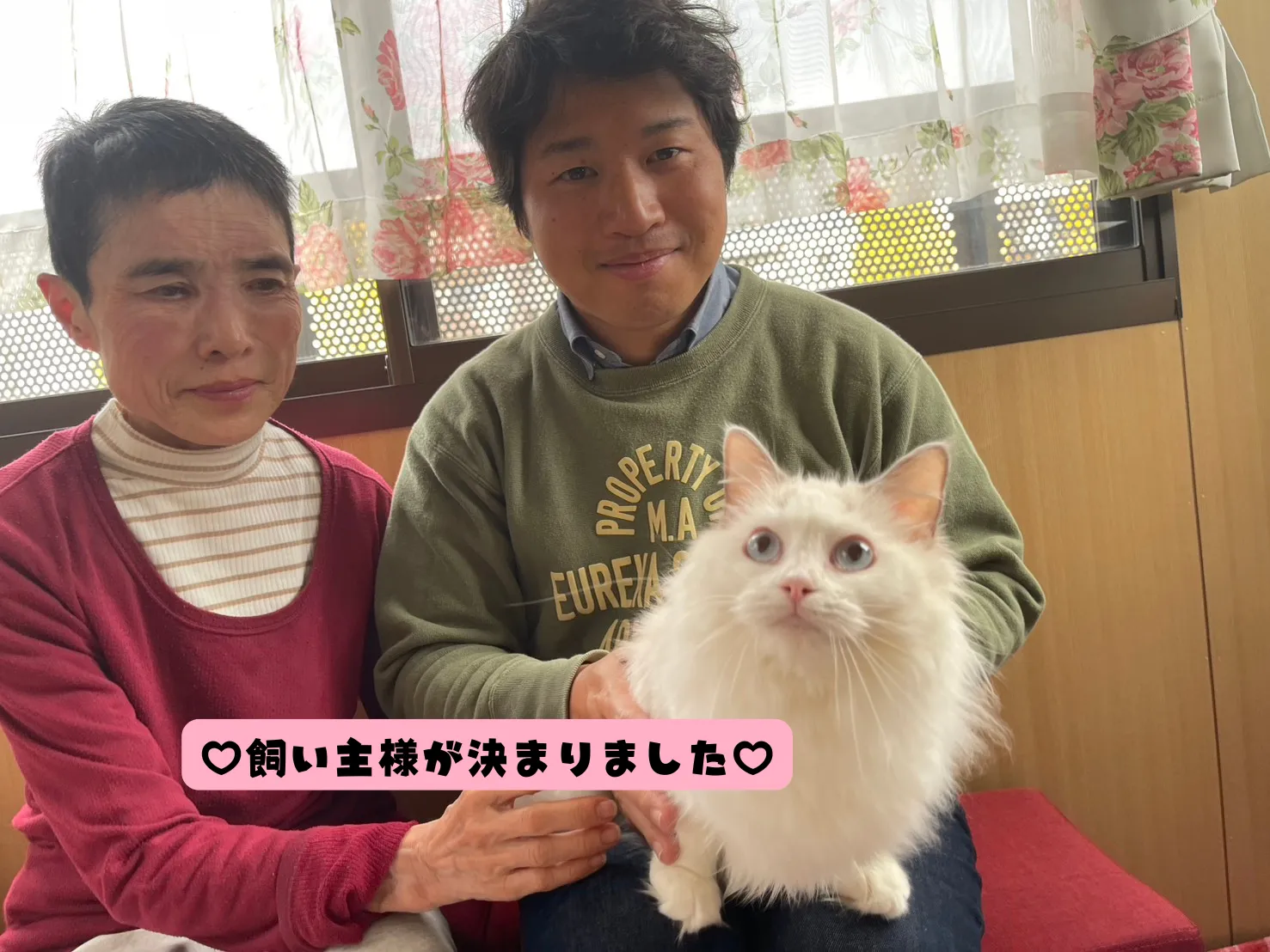 飼い主様が決まりました😸